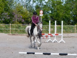 IMG_0474_web